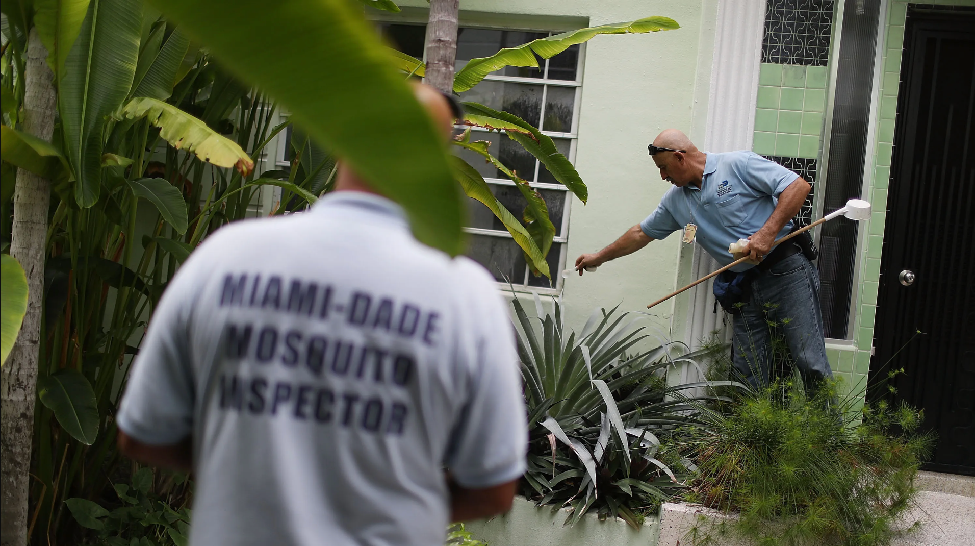 🦟 FREE Mosquito Control Service — Protect Your Family & Neighborhood